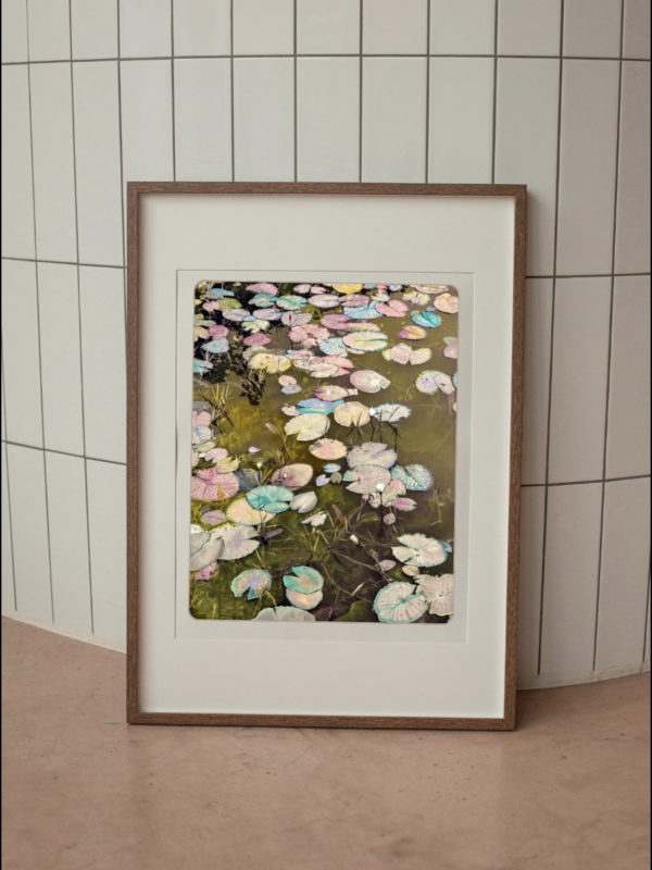 Psychedelic Lily Pond